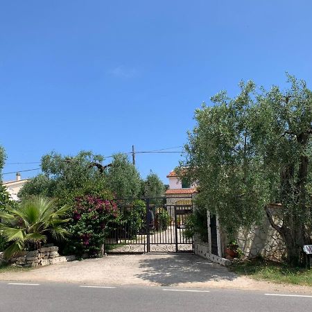 Villa Monica Appartamenti Vieste Zewnętrze zdjęcie