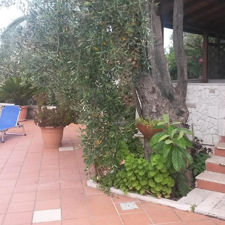 Villa Monica Appartamenti Vieste Zewnętrze zdjęcie