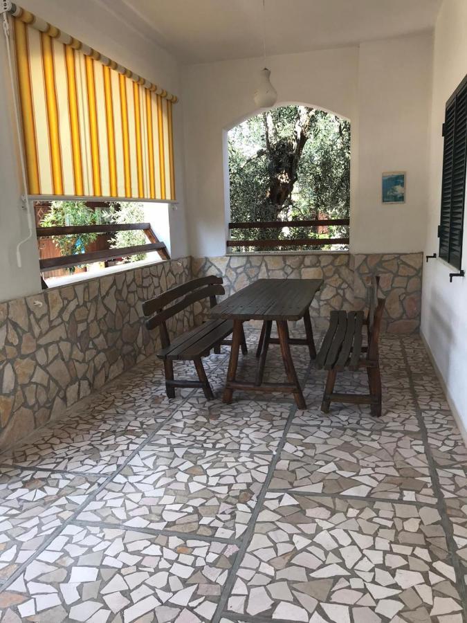 Villa Monica Appartamenti Vieste Zewnętrze zdjęcie