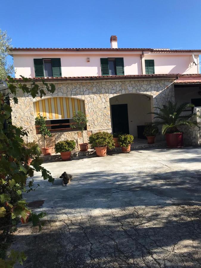 Villa Monica Appartamenti Vieste Zewnętrze zdjęcie