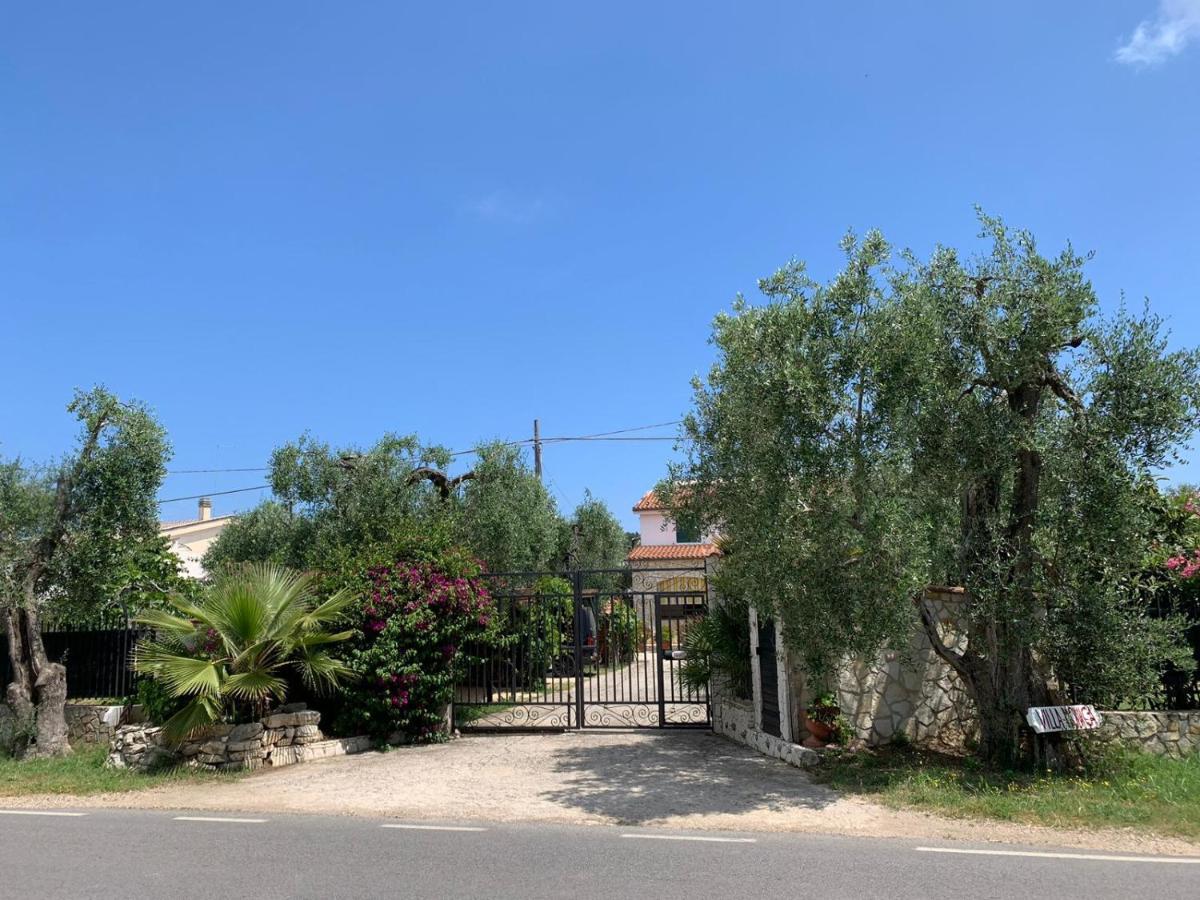 Villa Monica Appartamenti Vieste Zewnętrze zdjęcie