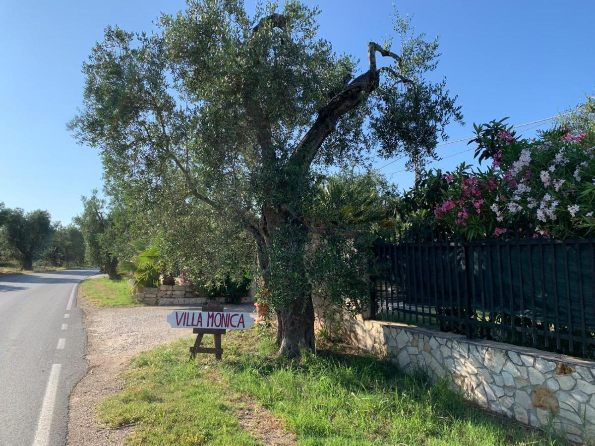 Villa Monica Appartamenti Vieste Zewnętrze zdjęcie