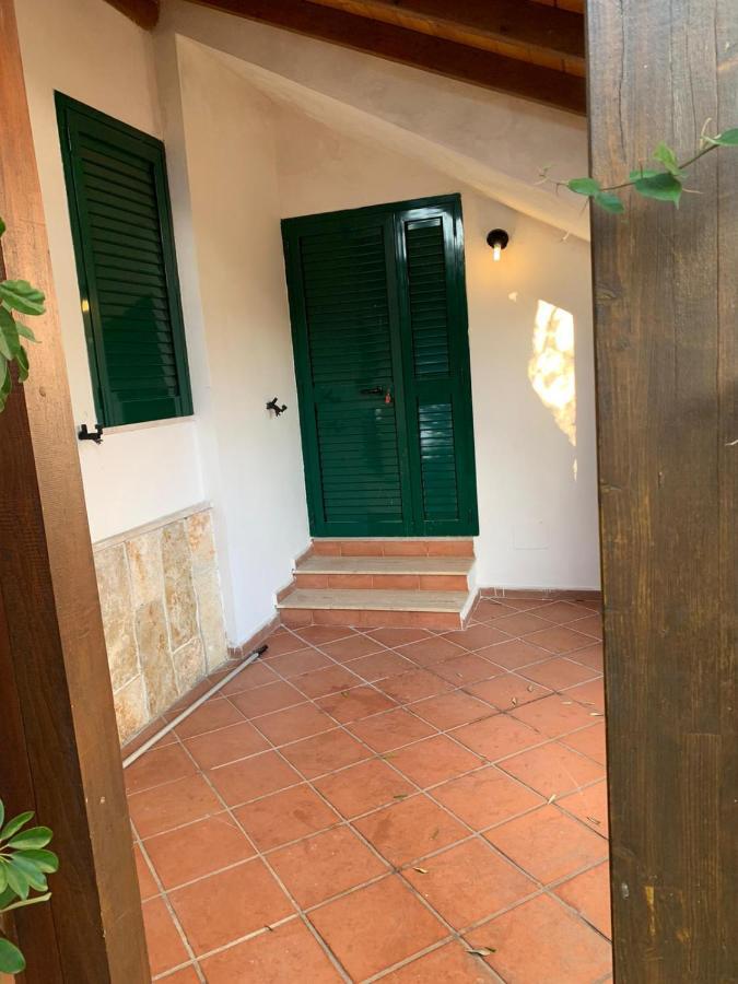 Villa Monica Appartamenti Vieste Zewnętrze zdjęcie