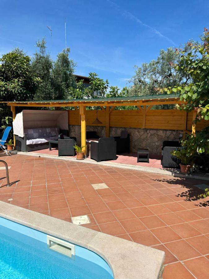 Villa Monica Appartamenti Vieste Zewnętrze zdjęcie