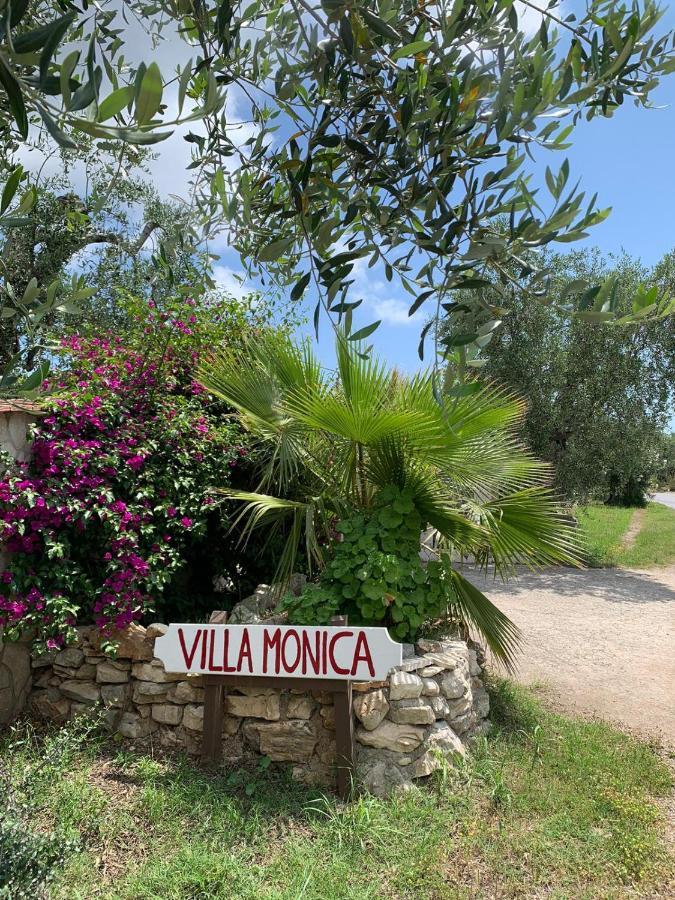 Villa Monica Appartamenti Vieste Zewnętrze zdjęcie