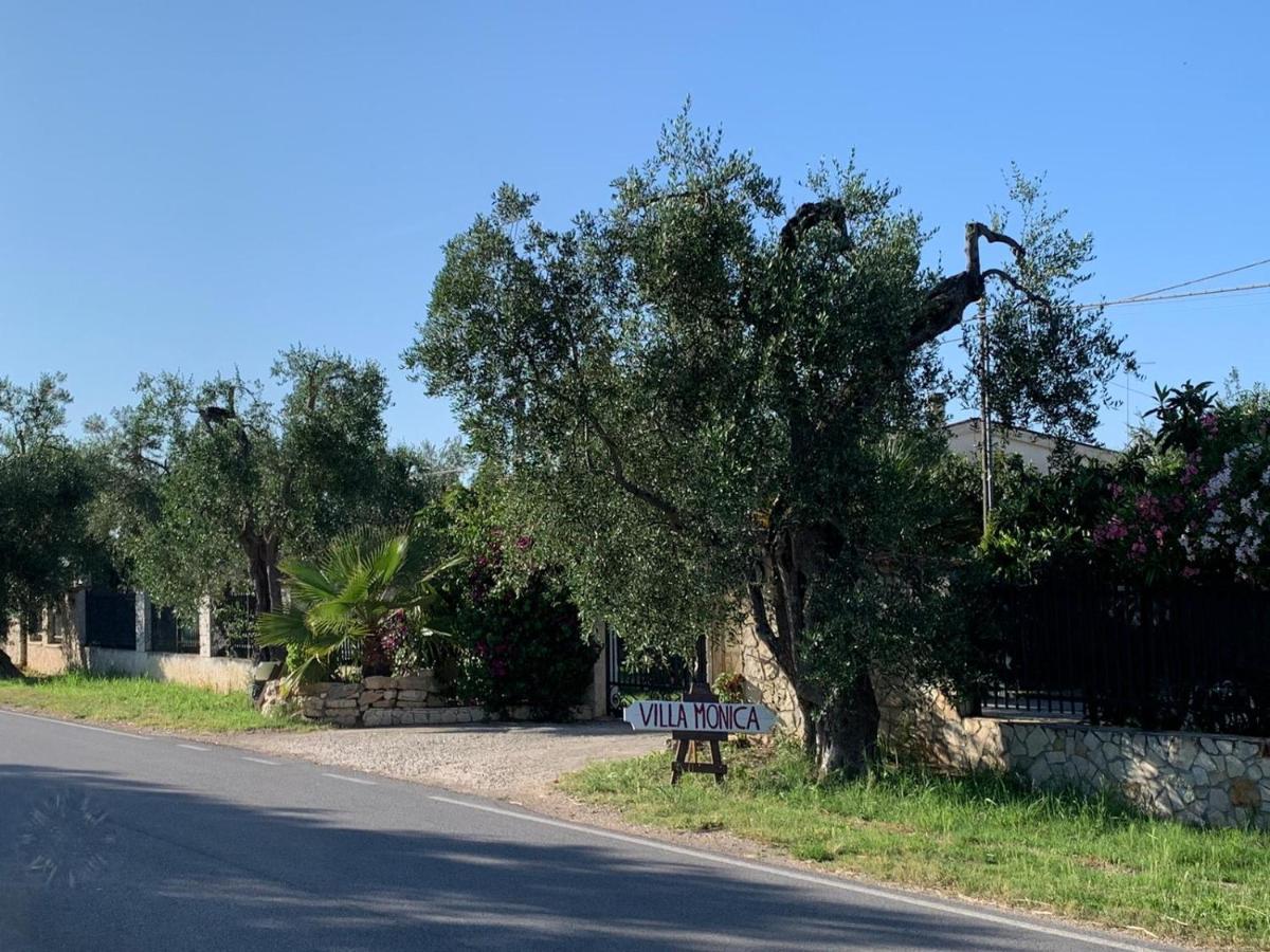 Villa Monica Appartamenti Vieste Zewnętrze zdjęcie