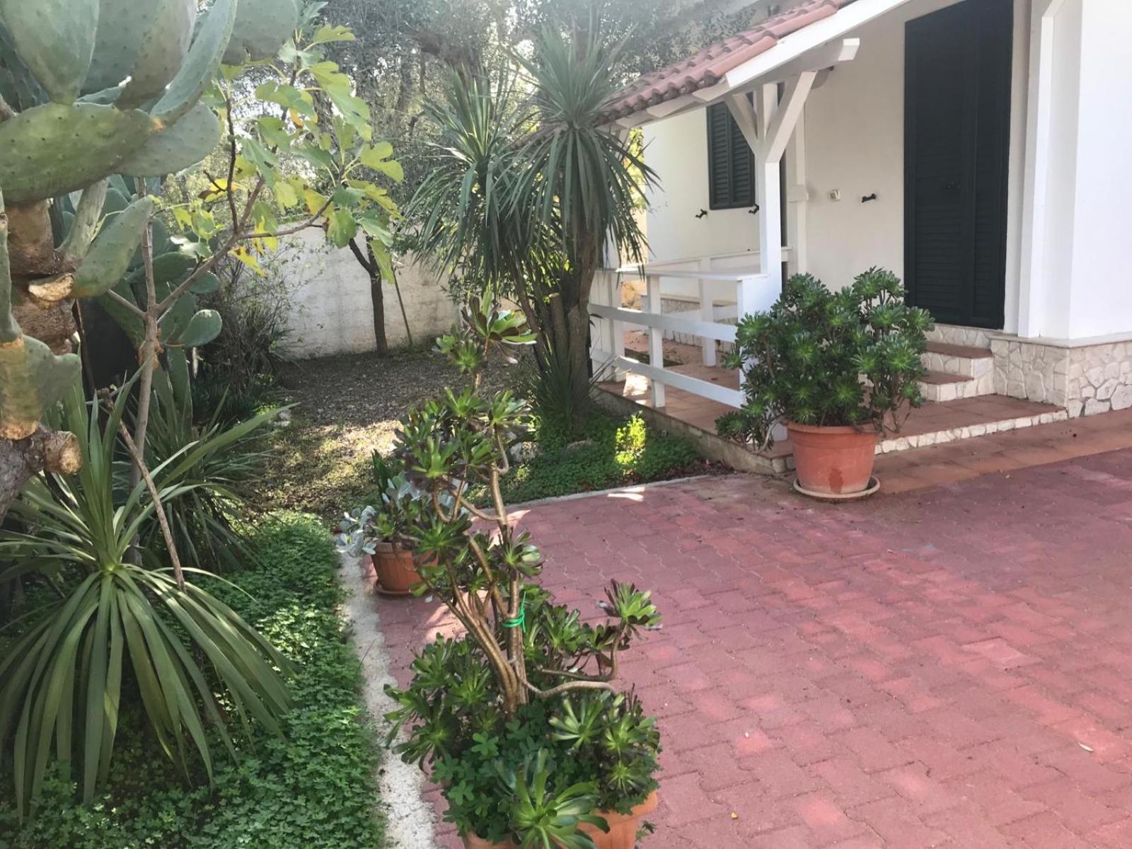 Villa Monica Appartamenti Vieste Zewnętrze zdjęcie