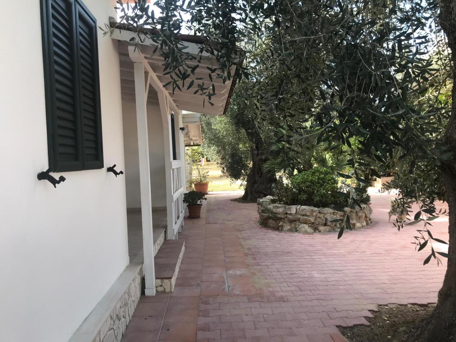 Villa Monica Appartamenti Vieste Zewnętrze zdjęcie