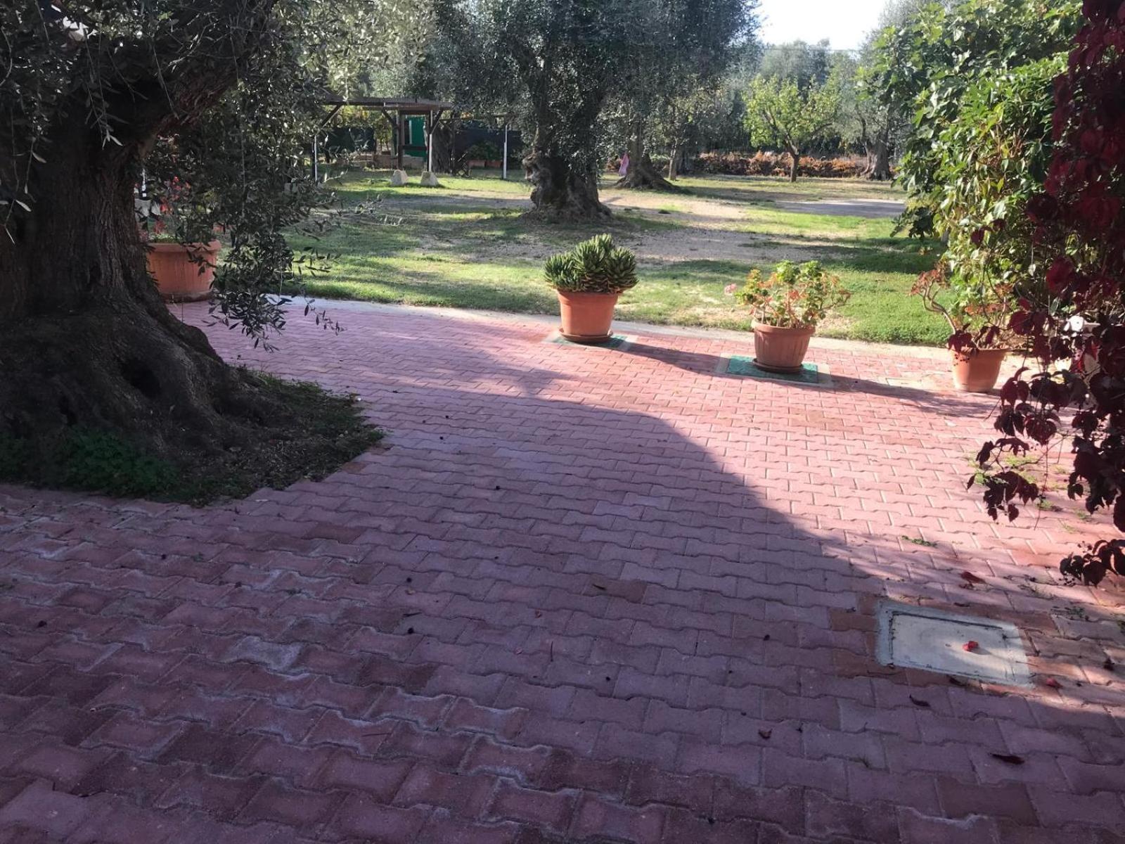 Villa Monica Appartamenti Vieste Zewnętrze zdjęcie