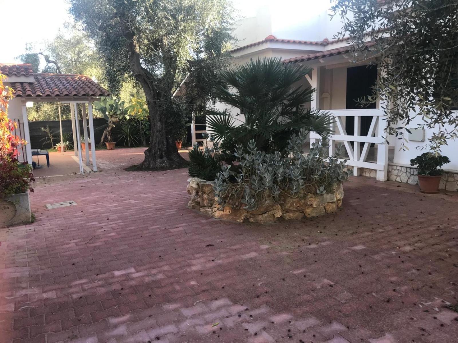 Villa Monica Appartamenti Vieste Zewnętrze zdjęcie