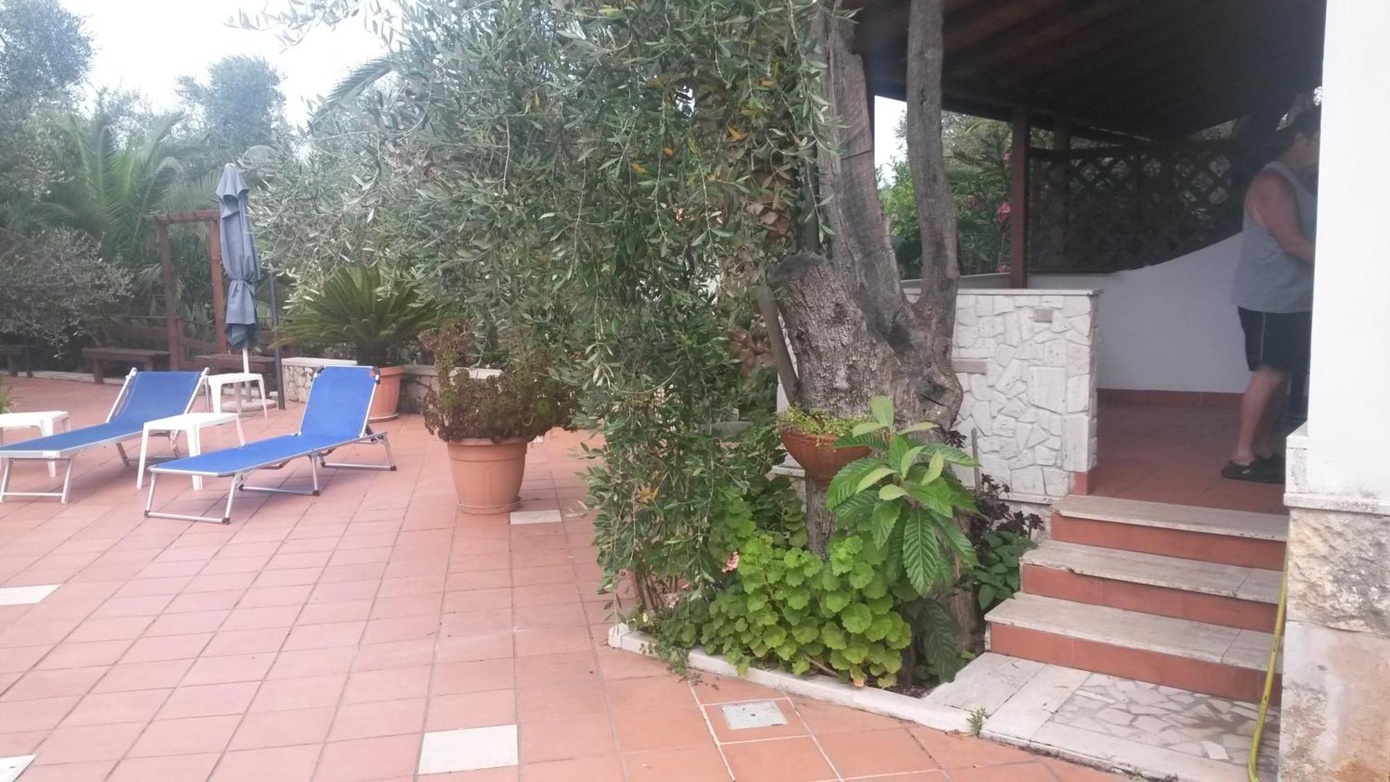 Villa Monica Appartamenti Vieste Zewnętrze zdjęcie