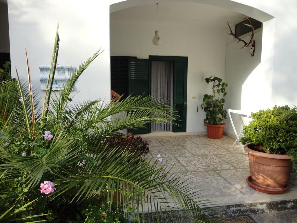Villa Monica Appartamenti Vieste Pokój zdjęcie