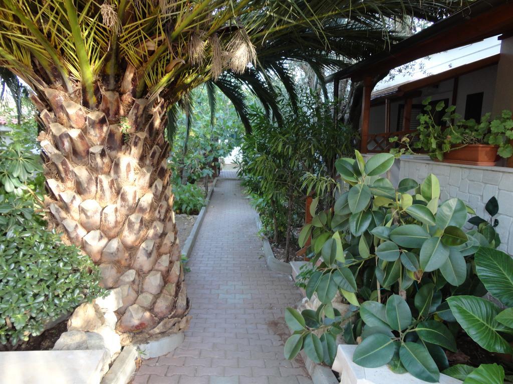 Villa Monica Appartamenti Vieste Zewnętrze zdjęcie
