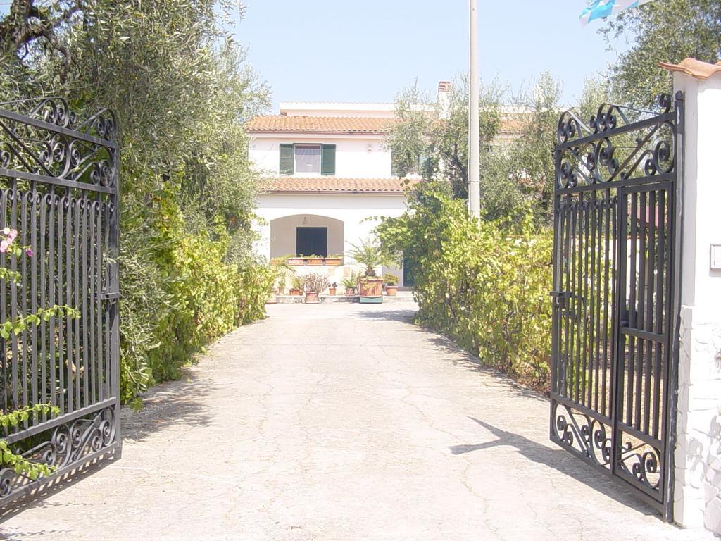 Villa Monica Appartamenti Vieste Zewnętrze zdjęcie