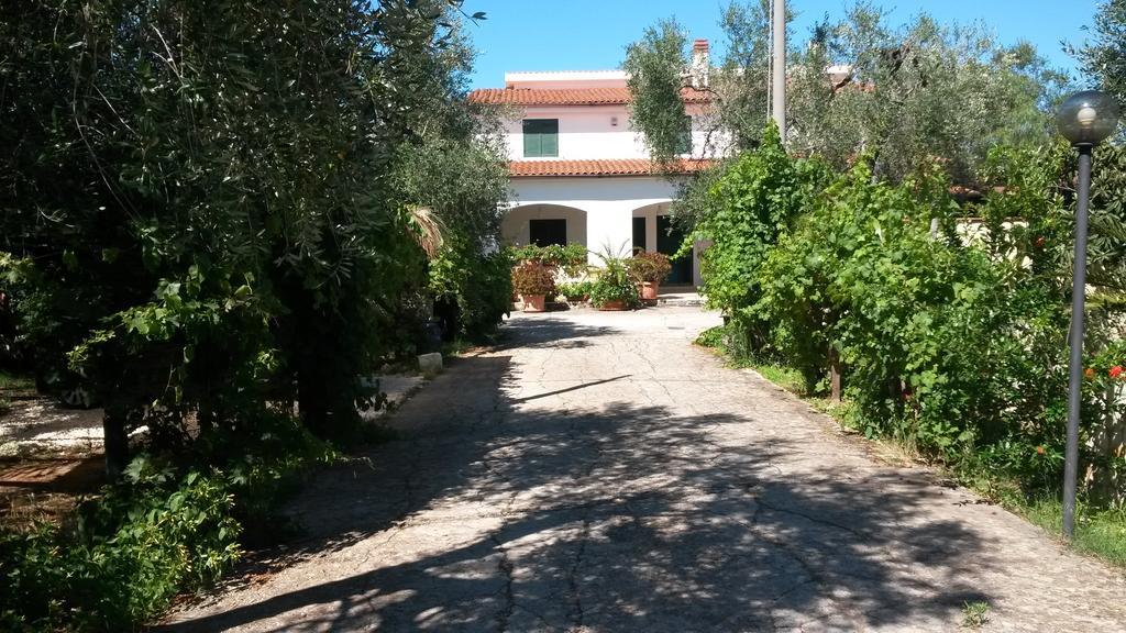 Villa Monica Appartamenti Vieste Zewnętrze zdjęcie