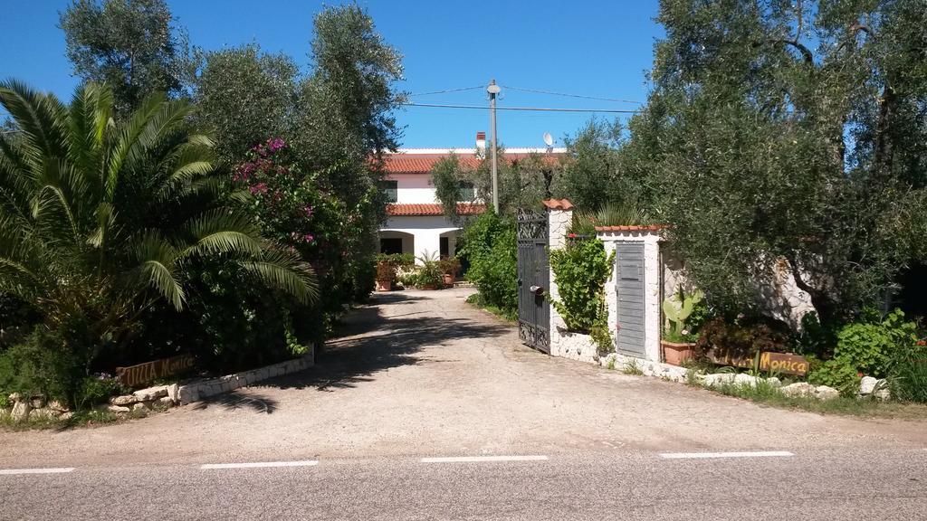 Villa Monica Appartamenti Vieste Zewnętrze zdjęcie