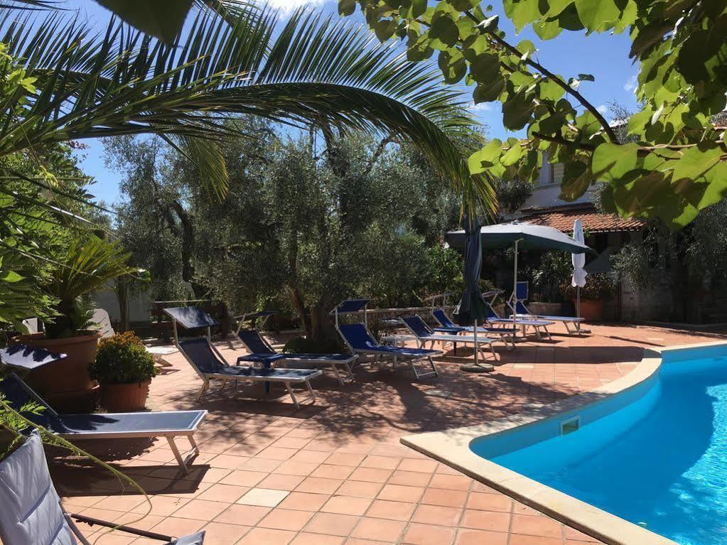 Villa Monica Appartamenti Vieste Zewnętrze zdjęcie