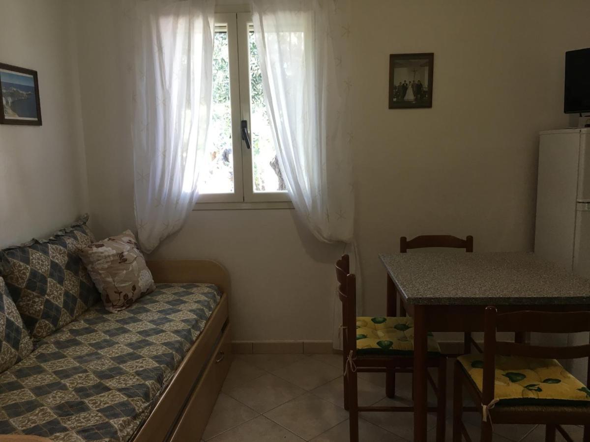 Villa Monica Appartamenti Vieste Zewnętrze zdjęcie